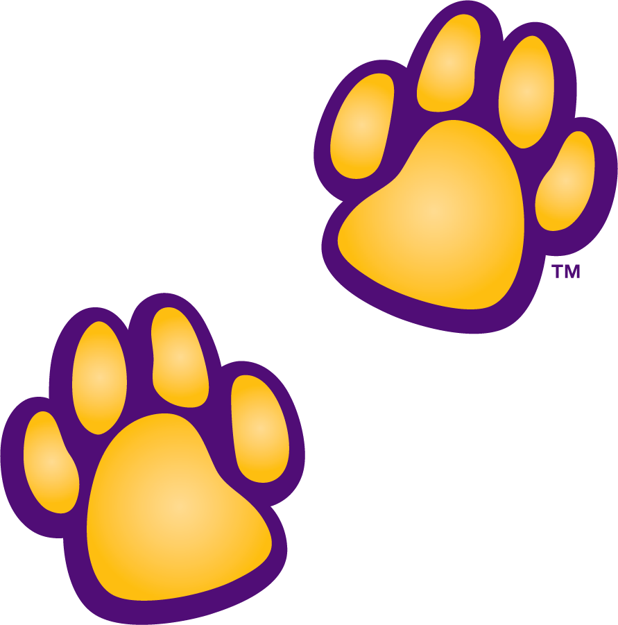 Northern Iowa Panthers 2021-Pres Secondary Logo diy DTF decal sticker